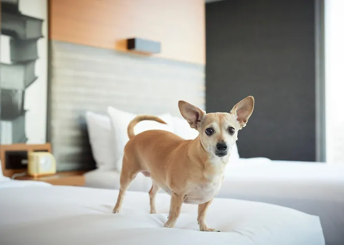 Aloft By Marriott Downtown River North Hotel 3*